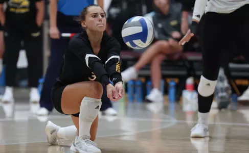 VB