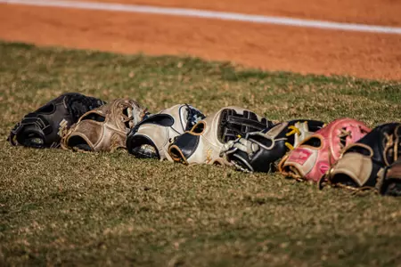 Glove lineup softball