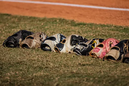 Glove lineup softball