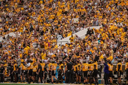 Football Crowd Shot