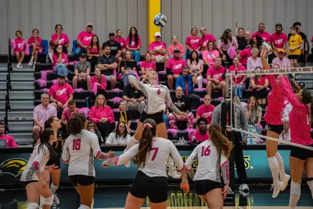Pink Out vs Troy