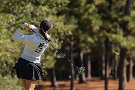 WGolf tee shot