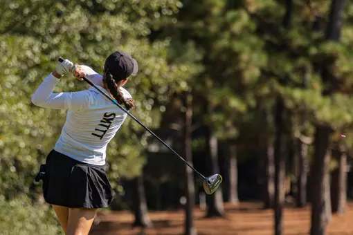 WGolf tee shot