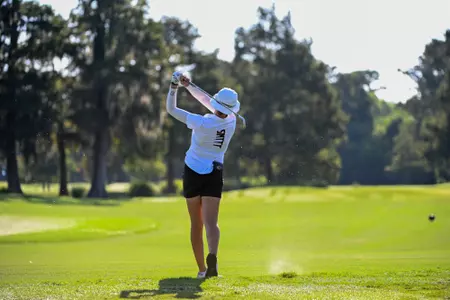 WGolf fairway shot