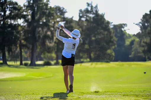 WGolf fairway shot