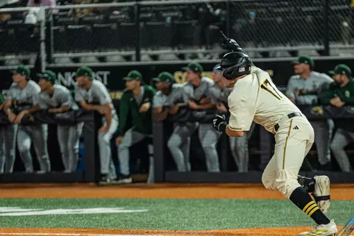 Kyle Morrison celebrates his walk-off winning hit