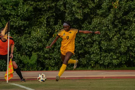 WSOC Recap M2