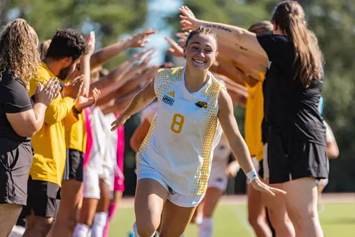 ARK ST WSOC POST