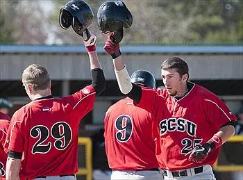 Baseball Celebration