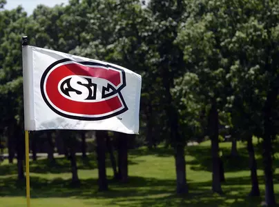 Golf Flags