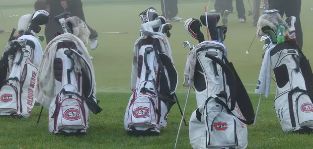Logo golf bags