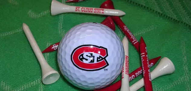 SCSU golf tees logo