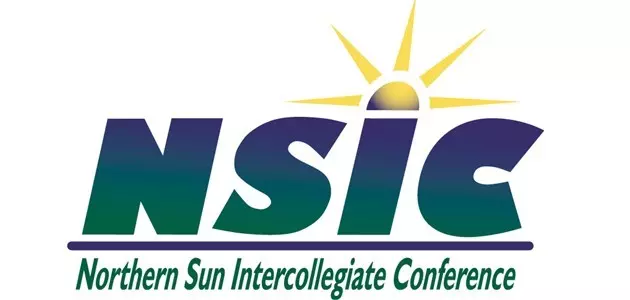 NSIC Logo graphic