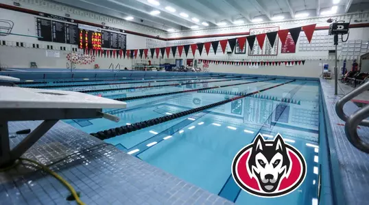 Swim dive pool graphic