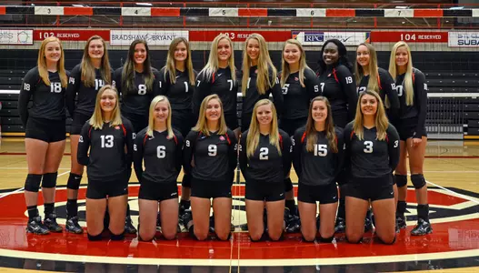 2017 Vollleyball Team Photo