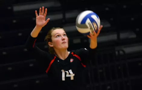 Maddy Torve