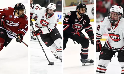 AHCA All-Americans 2019