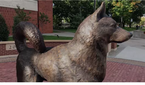 Husky Statue