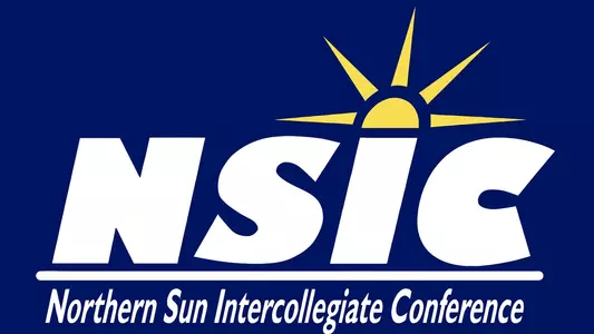 NSIC Logo