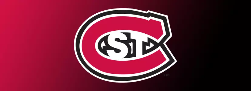 SCSU Logo Banner
