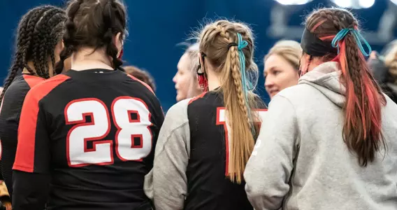 softballteamnorthwestern