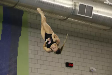 Brinkman Diver