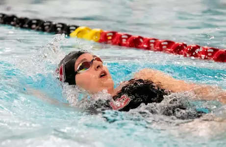 swimdive