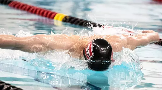mswimdive