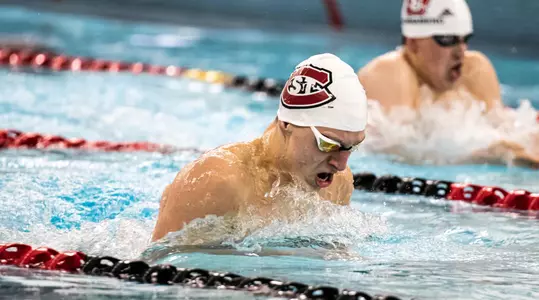 swimanddive