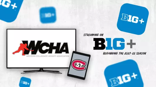 B1G+ Release
