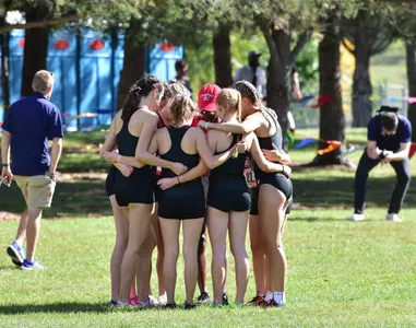 XC preview 11/3