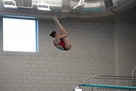 C.M.Diving
