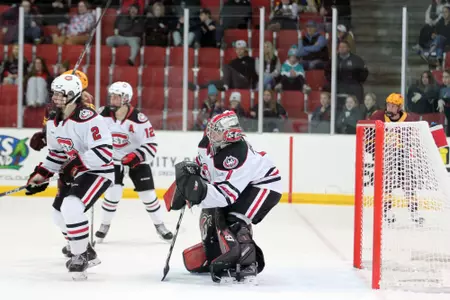 Sanni Ahola in net