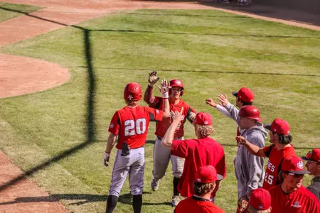 Baseball celebration