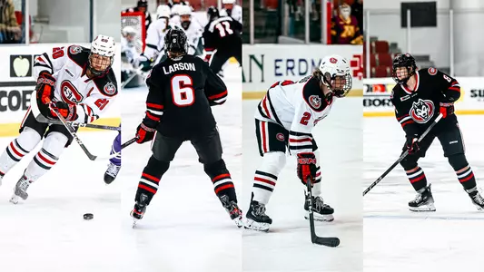 2024-25 WHK Captains