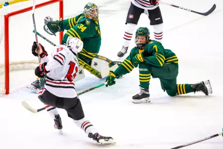 Gross vs. Vermont