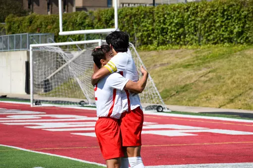 Goal Celebration
