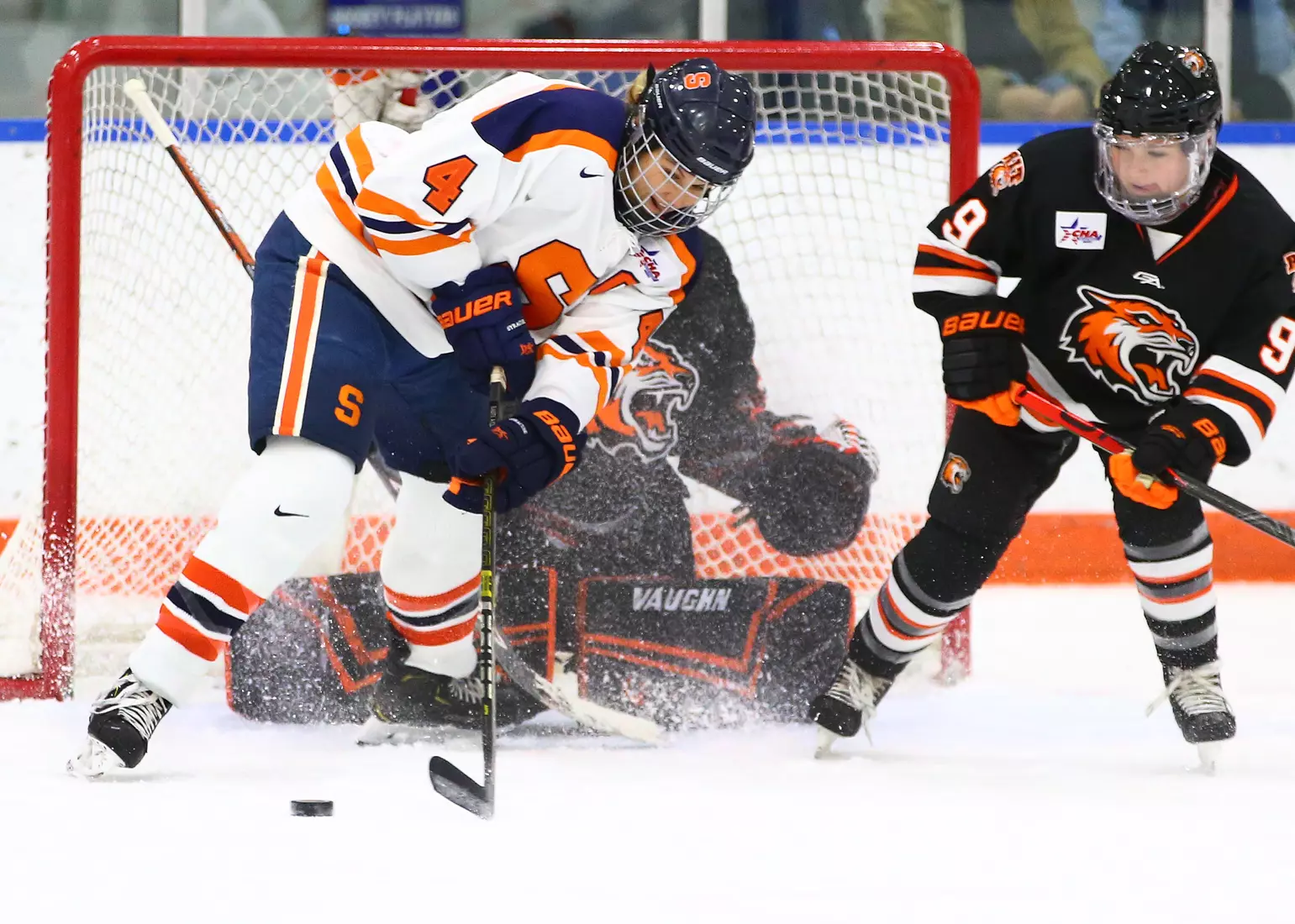 Lindsay Eastwood hunting at the Tigers' cage.