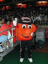 SU Fans Can Gather Around the Nation to Watch Sweet 16 Contest Image