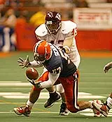 Tarullo and Scanlon Win Spring Awards Image