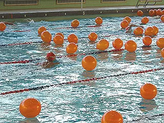 Final Home Swim Meet for Six Seniors on Jan. 29th Image