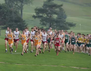 Cross Country Competes at Reif Memorial Image