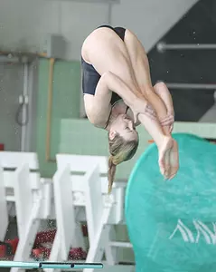 McKenna Breaks Diving School Record Against Villanova Image