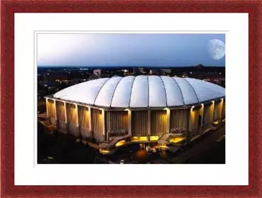 Perfect Gift for All Orange Fans Image