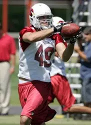 Orange in the NFL: NFC West Image