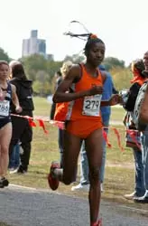 Cross Country Sweeps Spike Shoe Invitational Image