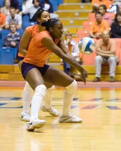 Volleyball Loses to South Florida Image