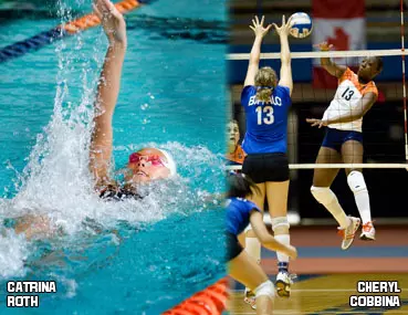 Orange Spotlight - November 19, 2007 Image