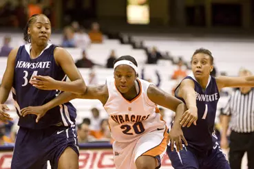 Orange And Tigers Collide Image