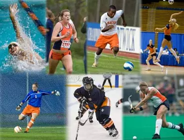 Orange Spotlight - October 13, 2008 Image